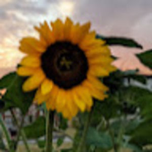 Meet your Posher, Paul